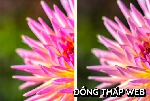 color-saturation-loss