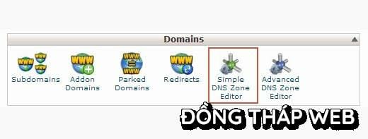 cpanel-dns-editor