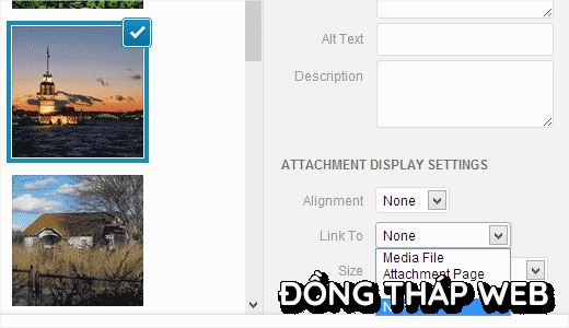 default-image-link