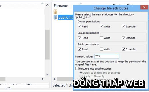 filepermissions
