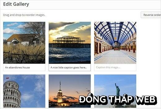 gallerycaptions
