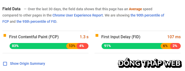 Google-PageSpeed-Insight-Field-Data