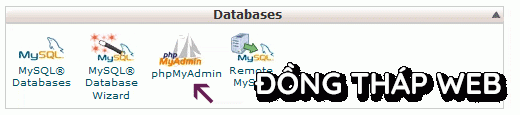 thêm tài khoản admin trong MySQL