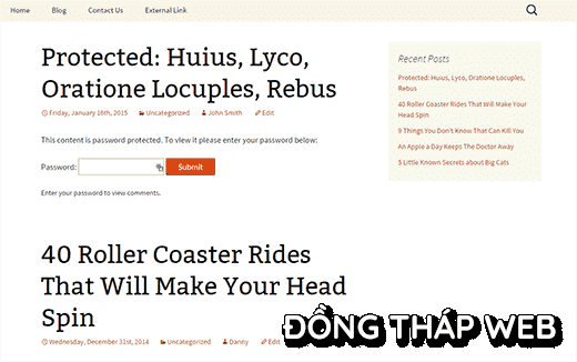 protected-posts-wordpress-1