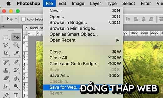 saveforweb-ps